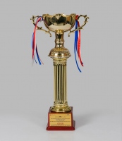 CII National HR Circle competition